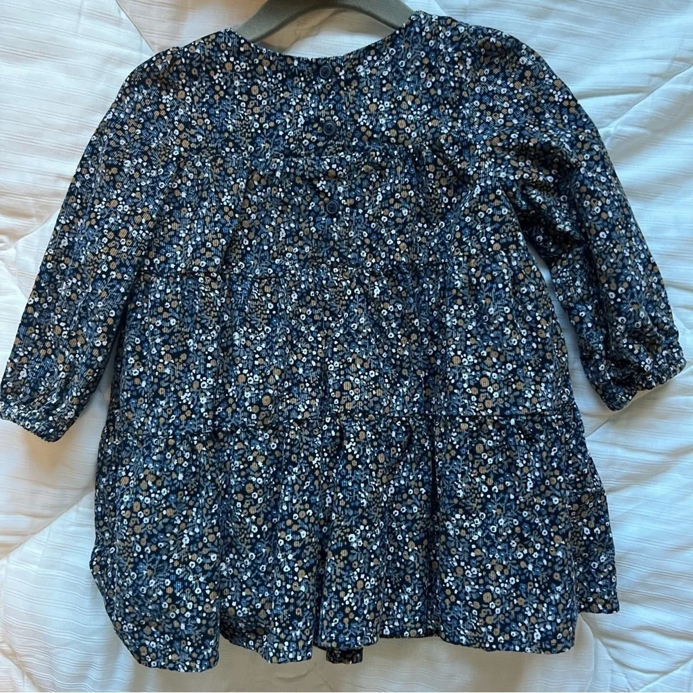 Baby Gap corded velvet floral ruffle dress size 6-12 month